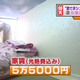 Illustration for article titled Japans Coffin Apartments Are Not for Claustrophobes